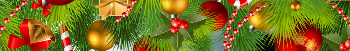 Skeena Valley Christmas Tree Farm